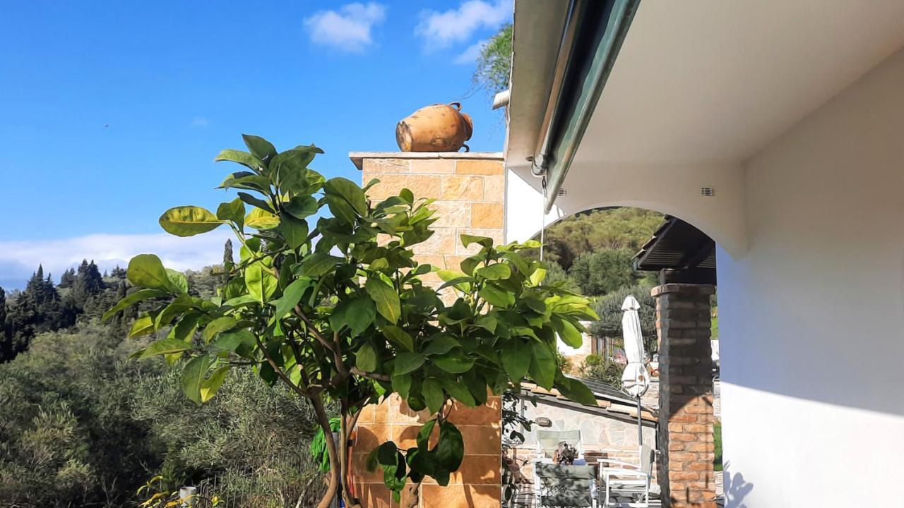 Villa Claire Corfu Achílleion Exterior foto